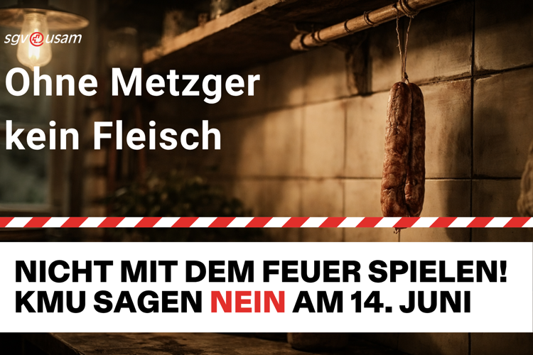 Initiative «Keine 10 Mio. Schweiz» Sujet Grafik 3 DE 169
